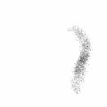 Murmuration#2